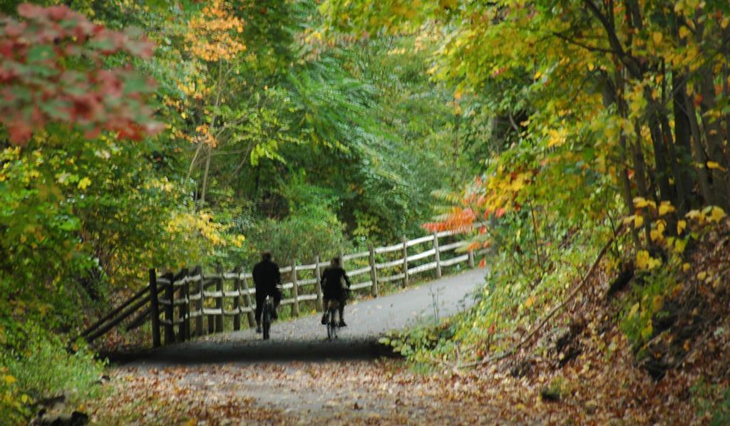 The Trail In - Berkshires' Art Adams