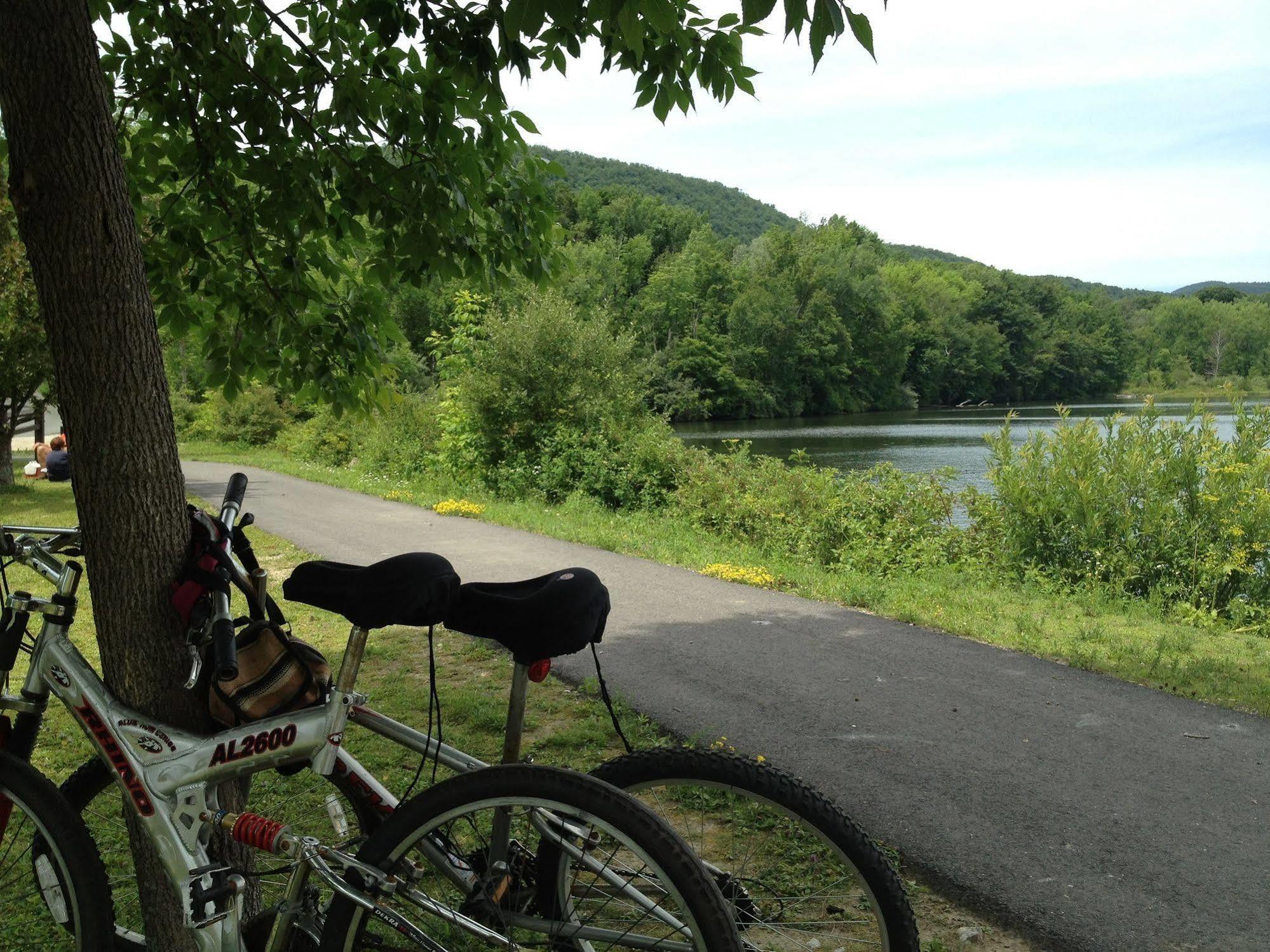 The Trail In - Berkshires' Art Adams